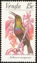 Marico Sunbird (Cinnyris mariquensis)