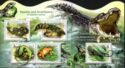 Reptiles and Amphibians of Solomon Islands