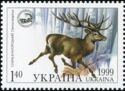 Red Deer (Cervus elaphus)