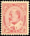 King Edward VII