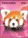 Red Panda (Ailurus fulgens)