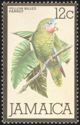 Yellow-billed Parrot (Amazona collaria)