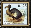 Dodo (Raphus cucullatus)