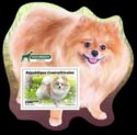 Dog Breeds - The Spitz Nain