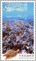 Forest of “Sea Lavender” Coral, Dongjiyu