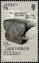 St.Lawrence Pillar / SEPAC