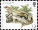 Telfair's Skink (Leiolopisma telfarii)