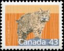 Canada Lynx (Lynx lynx canadensis)