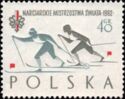 Cross-country Skiers (Two Women)