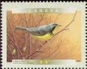 Canada Warbler (Cardellina canadensis)