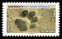 Footprint of African Lion