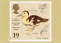 Postcard:-50th-Anniv-of-the-Wildfowl-and-Wetland-Trust---Muscovy-Duck-(Cairina-moschata)-(United-Kingdom-of-Great-Britain--amp--Northern-Ireland)