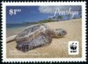 Pacific Green Turtle (Chelonia mydas)