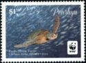 Pacific Green Turtle (Chelonia mydas)