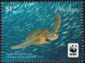 Pacific Green Turtle (Chelonia mydas)