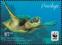 Pacific Green Turtle (Chelonia mydas)
