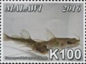 Kampango Catfish (Bagrus meridionalis)