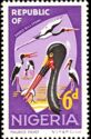 Saddle-billed Stork (Ephippiorhynchus senegalensis)
