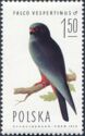 Red-footed Falcon (Falco vespertinus), Male