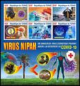Zoonotic Viruses