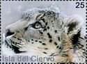 Snow leopard