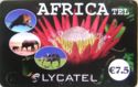 Africa Tel