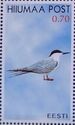 Hiumaa Post. Seabirds