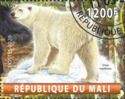 Ursus maritimus