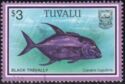 Black Trevally (Caranx lugubris)