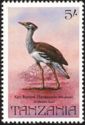 Kori Bustard (Ardeotis kori)