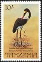 Saddle-billed Stork (Ephippiorhynchus senegalensis)