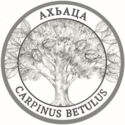 2 Apsars (Carpinus betulus)