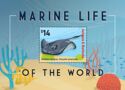 Marine Life of the World