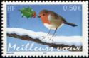 European Robin (Erithacus rubecula)