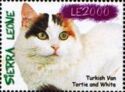 Turkish Van