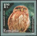 Eurasian Pygmy-Owl (Glaucidium passerinum)