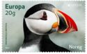 Atlantic Puffin (Fratercula arctica)