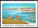 Save the Nature of the Arctic, Reindeer (Rangifer tarandus)