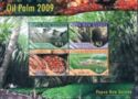 Palm Oil Production
