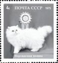 Persian Cat