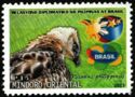 Philippine hawk-eagle (Nisaetus philippensis)