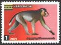 Prehistoric primates - Aegyptopithecus zeuxis