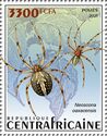 Western Spotted Orbweaver (Neoscona oaxacensis)