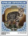 Savannah Cat