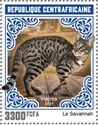 Savannah Cat