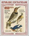Northern Flicker, Dickcissel, Eastern Bluebird