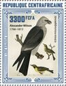 Mississippi Kite (Ictinia mississippiensis)