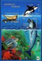 Harbour Seal, Killer Whale, Common Bottlenose Dolphin, Leath