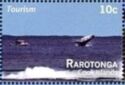 Tourism - Rarotonga - Whale Watching