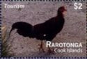 Tourism - Rarotonga - Rooster